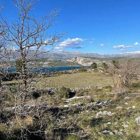 Villa Planita Dalmacija Novigrad  Dış mekan fotoğraf