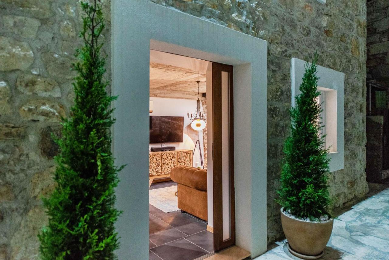 Villa Planita Dalmacija Novigrad  Dış mekan fotoğraf
