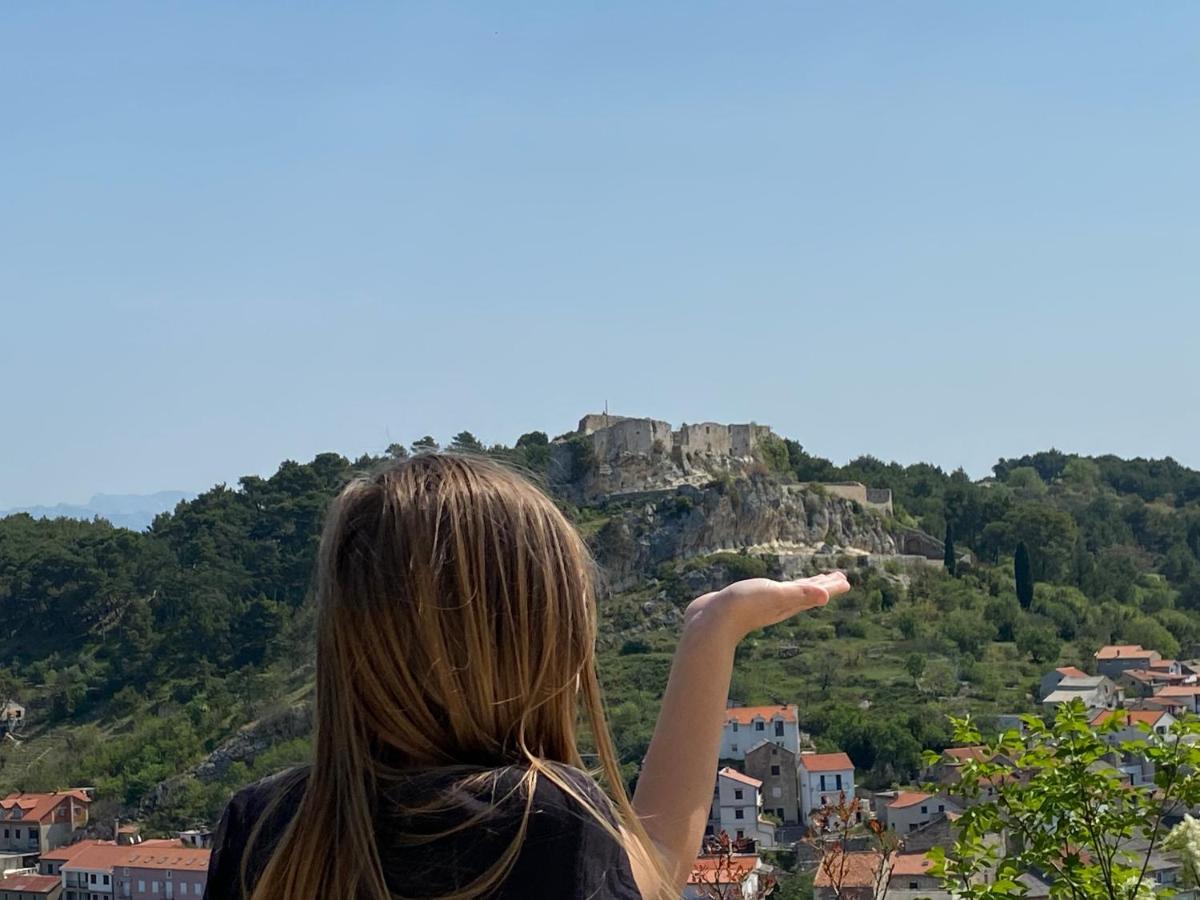 Villa Planita Dalmacija Novigrad  Dış mekan fotoğraf